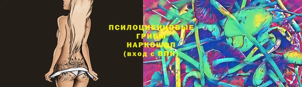 Альфа ПВП Вязьма