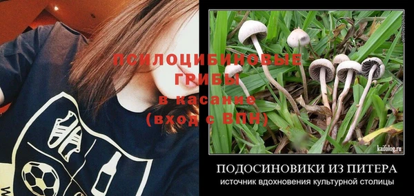 альфа пвп Горнозаводск