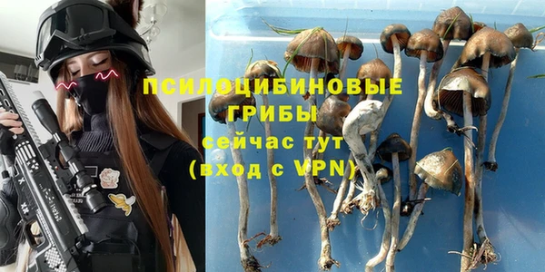 тгк Кулебаки
