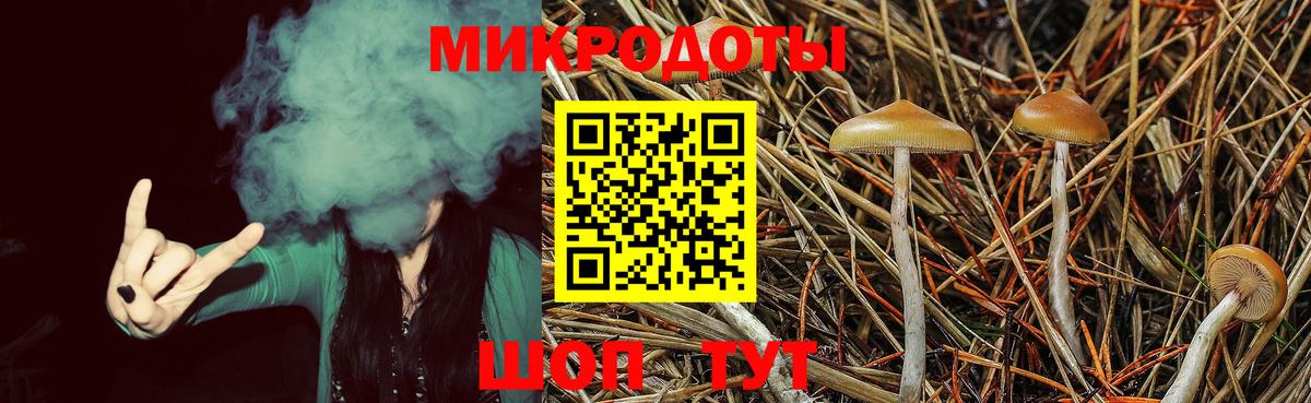 Галлюциногенные грибы Psilocybe Медногорск