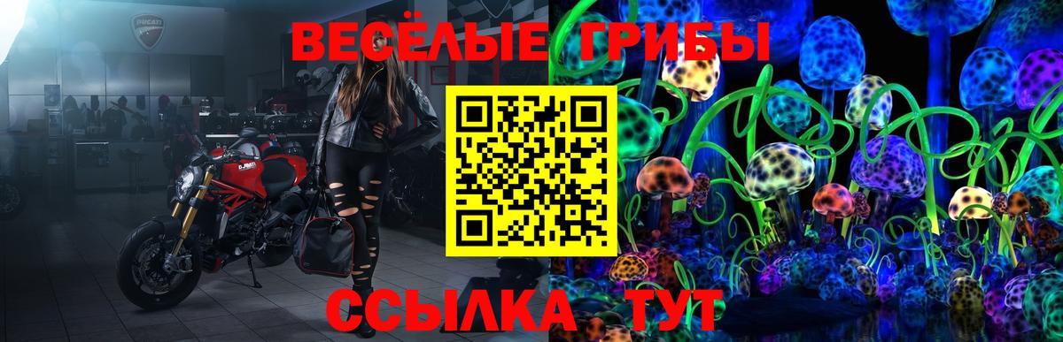 Медногорск  Псилоцибиновые грибы Psilocybine cubensis  Вход с VPN 