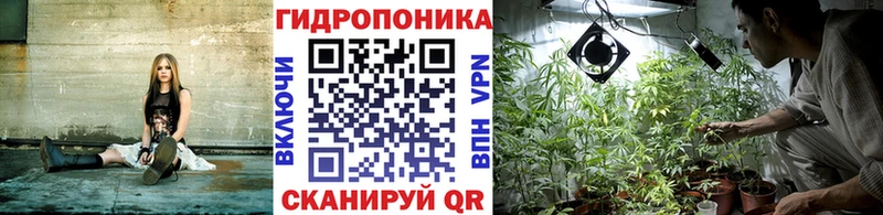 Бошки Шишки индика  Медногорск 